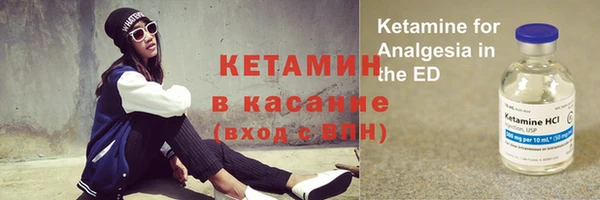 шишки Абинск