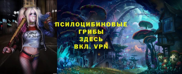 эйфоретик Алексеевка